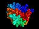 Molécula de Eritropoyetina (EPO)